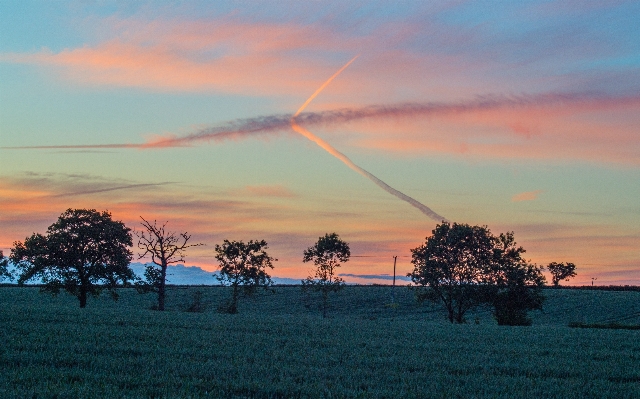 Landscape tree nature horizon Photo