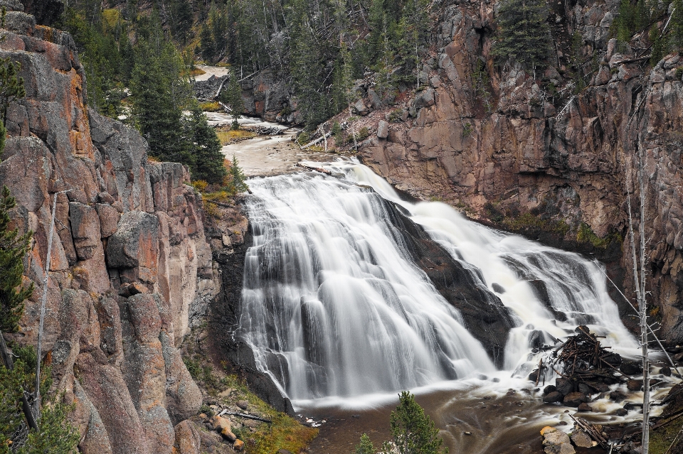 Landscape forest waterfall wilderness