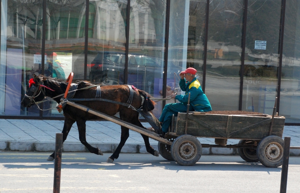 Nieve invierno carro transporte