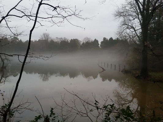 Landscape tree water nature Photo