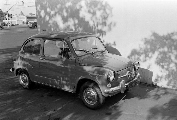 Car vehicle fiat antique Photo