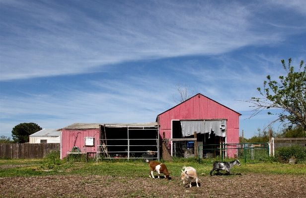 Sky farm house building Photo