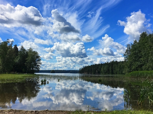 Landscape tree water nature Photo