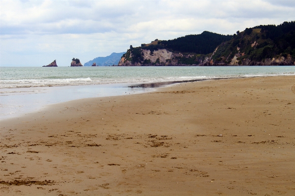 Beach sea coast water Photo