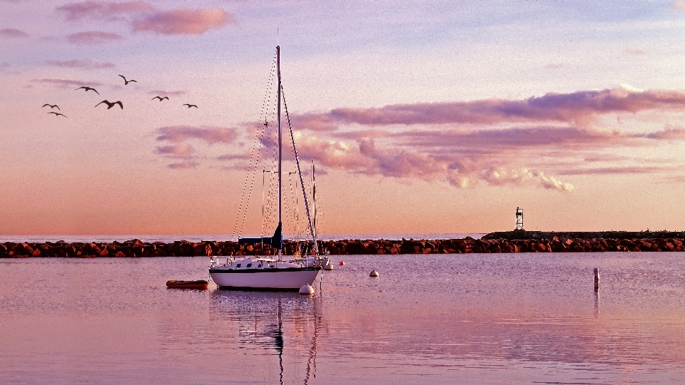 Plaża morze wybrzeże woda