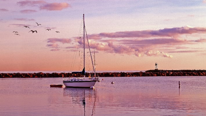 Beach sea coast water Photo