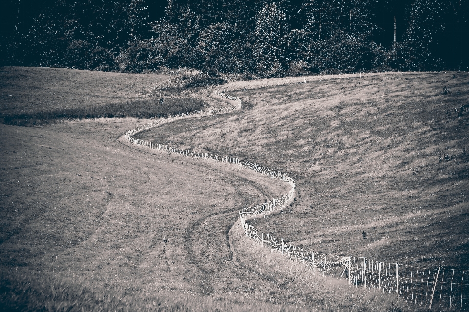 Paisagem natureza caminho neve