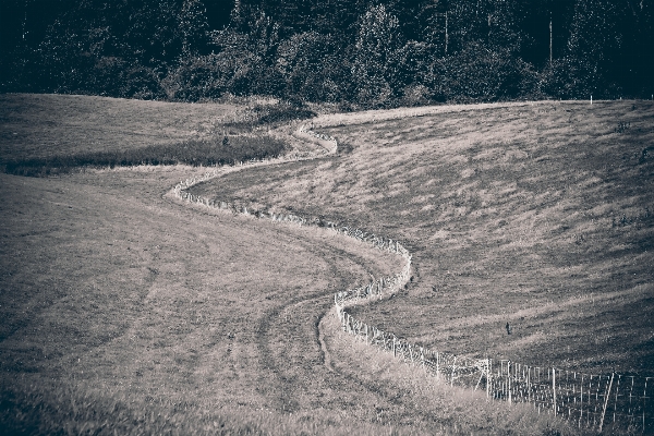 Foto Paisagem natureza caminho neve