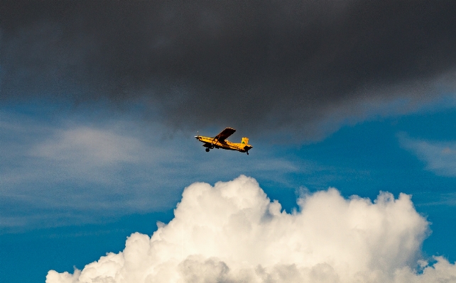 Sea bird wing cloud Photo