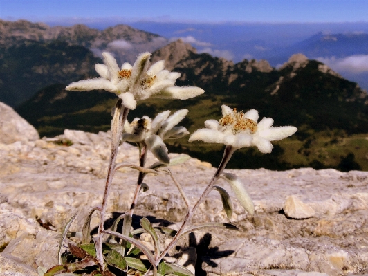 Landscape nature rock wilderness Photo