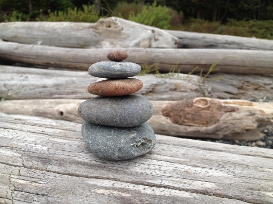 Landscape sand rock wood Photo