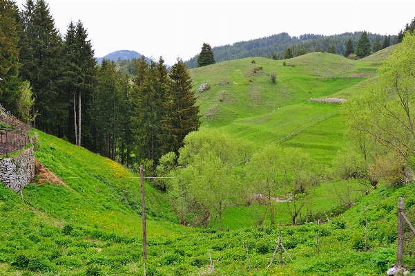 Berg wiese
 hügel schlucht Foto