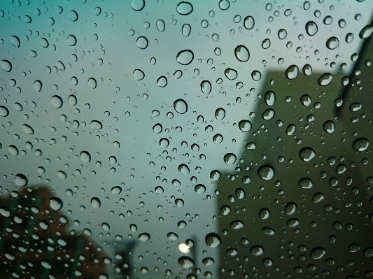 Water drop rain leaf Photo