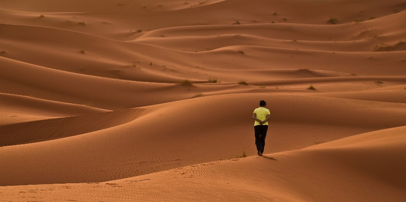 Landscape nature sand desert Photo