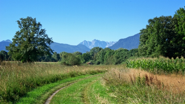 Landscape nature grass outdoor Photo