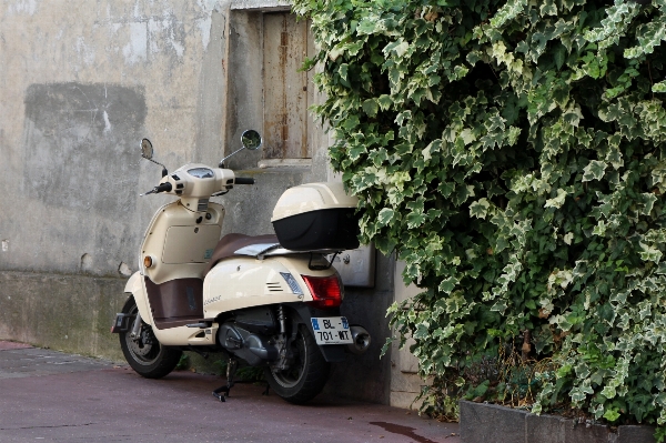 Mediterranean vehicle motorcycle ivy Photo