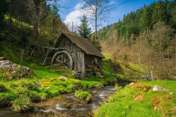 Landscape water nature forest Photo