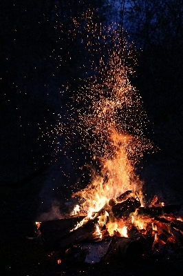 Forest night spark flame Photo