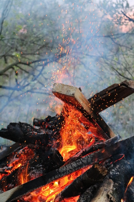 Funke frühling flamme feuer