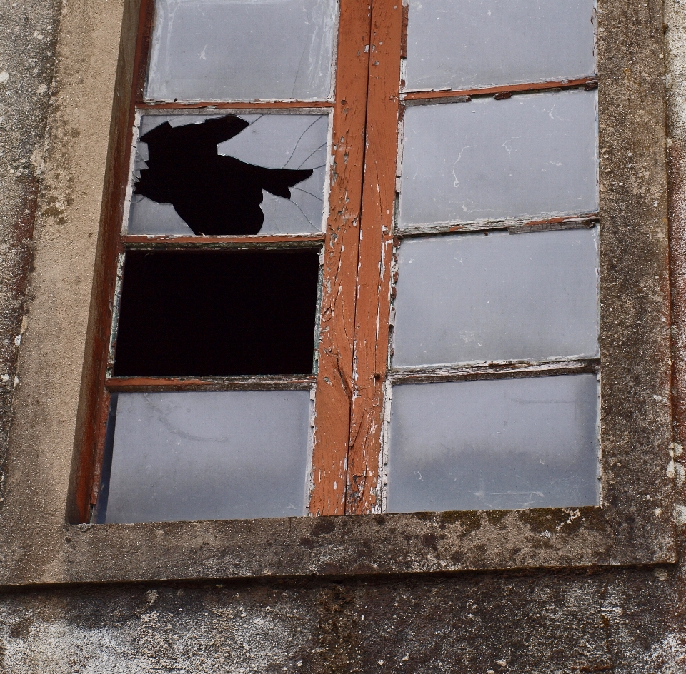 Wood house window wall