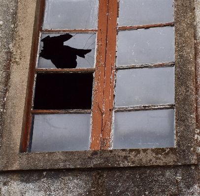 Wood house window wall Photo