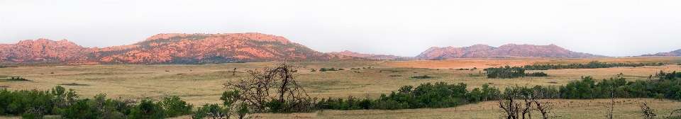 Landschaft wildnis
 berg wiese
