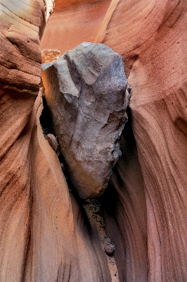 Hand rock wood formation Photo