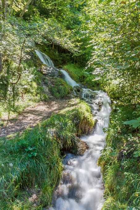 Paisaje árbol agua naturaleza