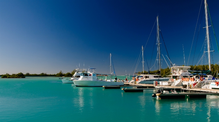 Landscape sea dock boat Photo