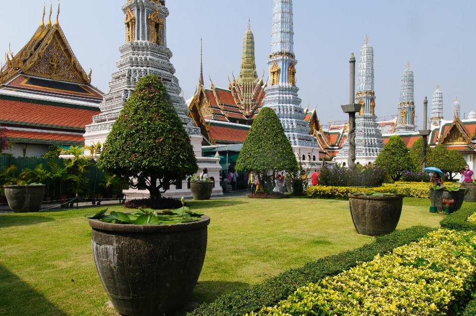 Flower building palace tower