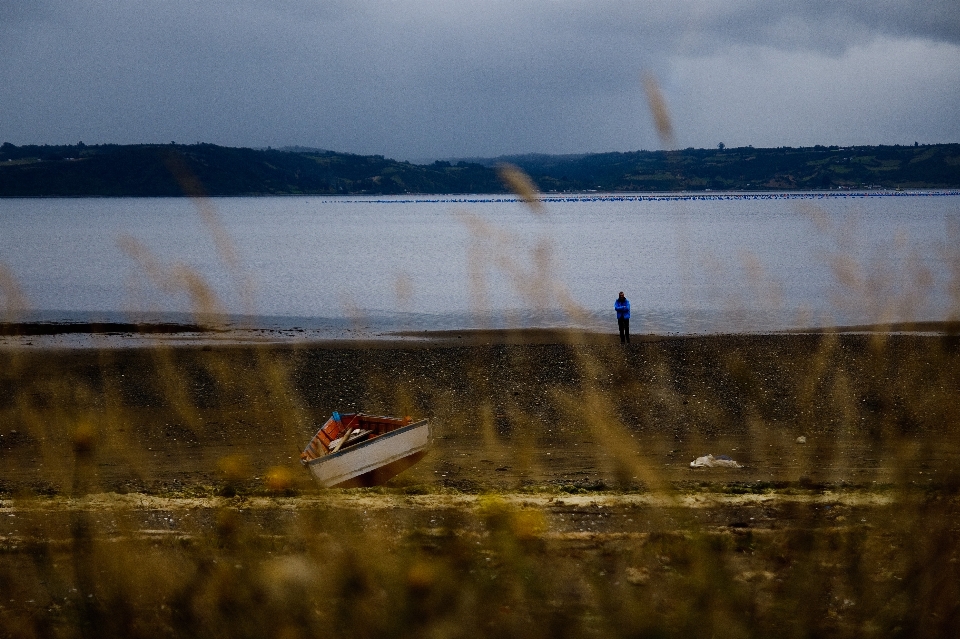 Meer wasser wolke boot