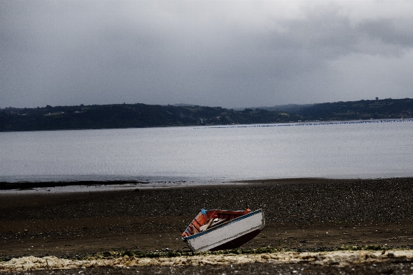 Beach sea coast water Photo