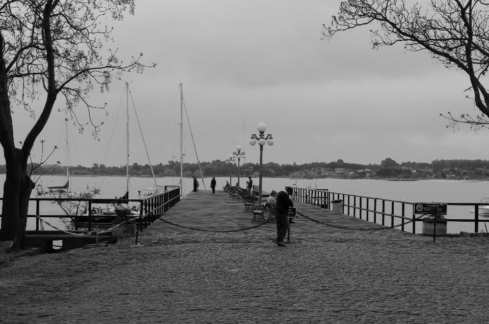 Meer wasser winter schwarz und weiß
