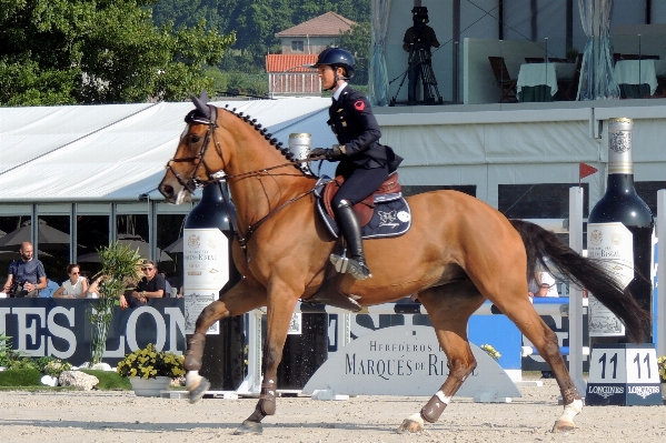 Animal recreation jumping europe Photo