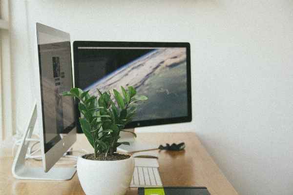 Desk computer mac screen Photo