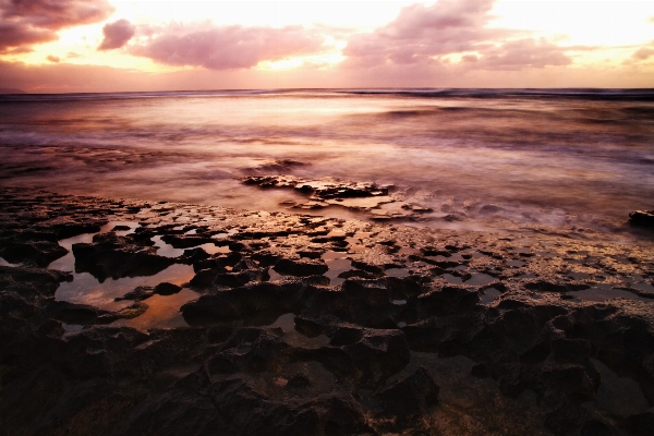 Sea coast water nature Photo