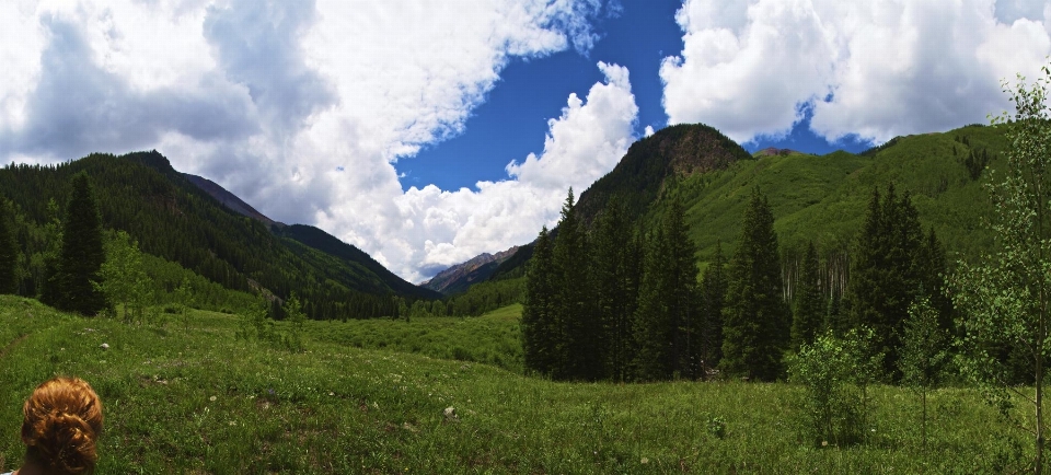 Landschaft natur wald wildnis
