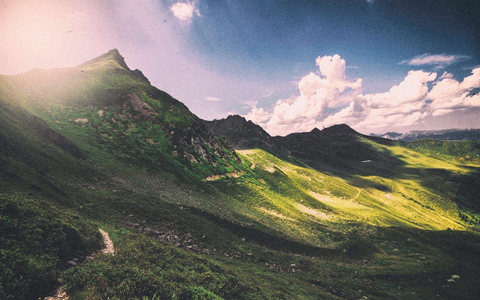 Paesaggio natura erba montagna