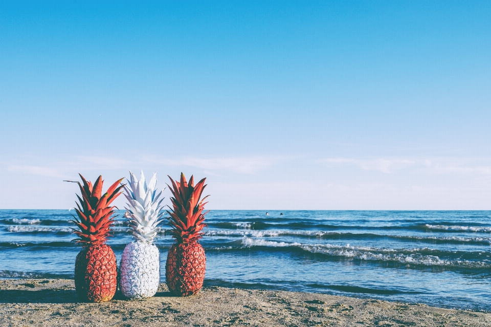 ビーチ 海 海岸 水