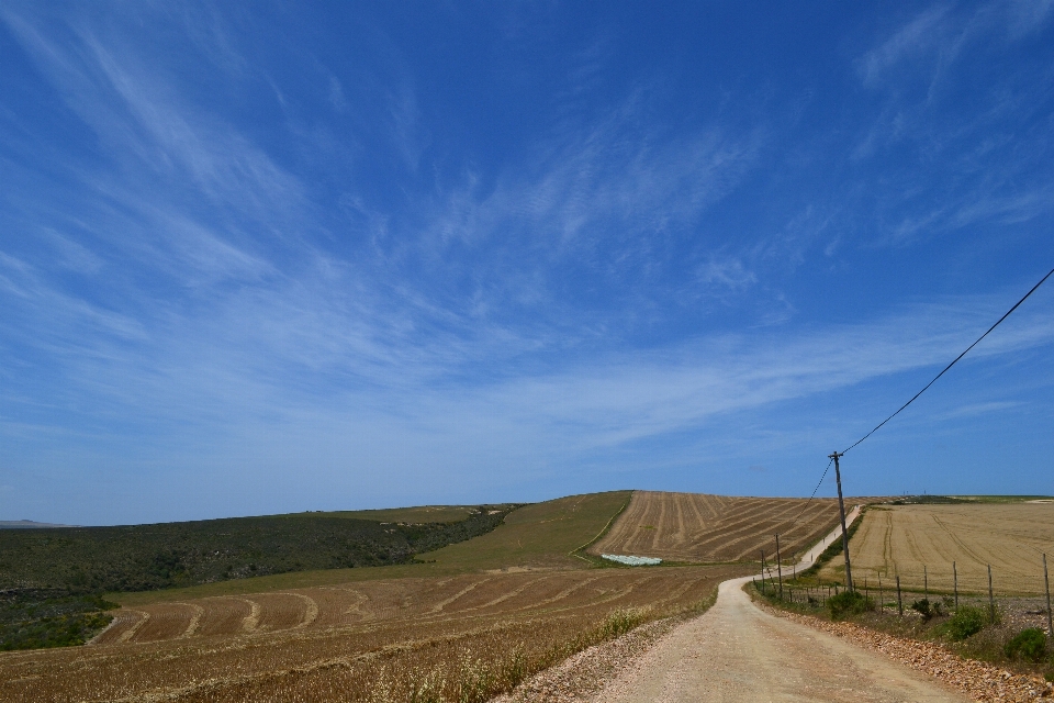 Paisaje césped horizonte montaña