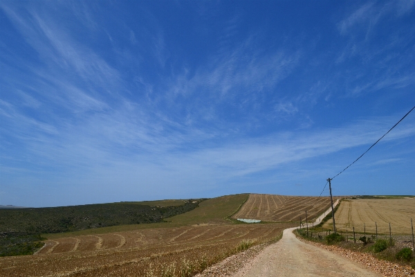 Landscape grass horizon mountain Photo