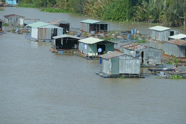 Photo Dock rivière cabane en direct