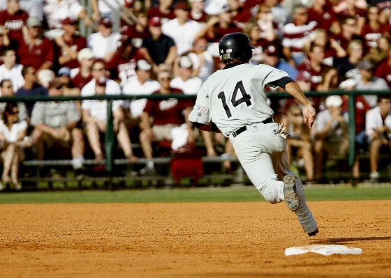 Photo Base-ball sport champ jeu