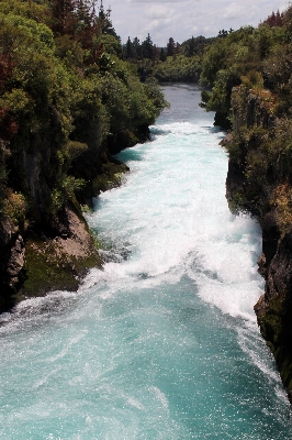 Landscape water nature forest Photo