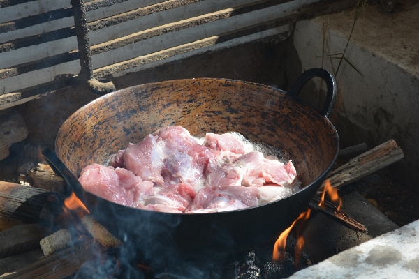 Dish food cooking fish Photo