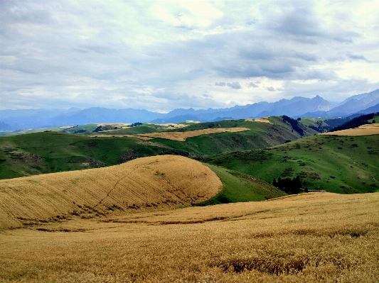 Landscape nature grass mountain Photo