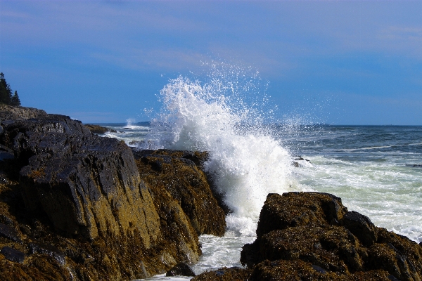 Beach sea coast water Photo