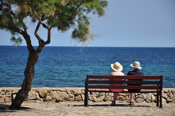 Foto Spiaggia mare costa albero