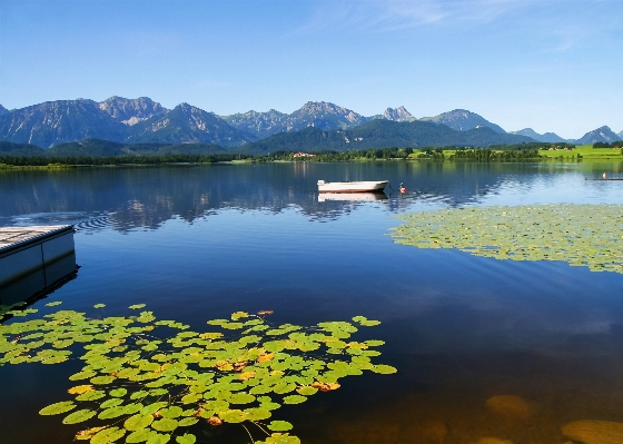 風景 水 自然 荒野
 写真