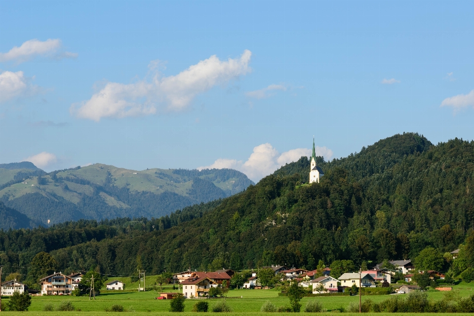 Paysage nature forêt montagne